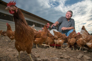 Editorial chicken farmer portrait