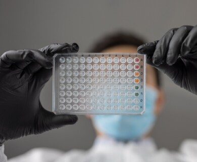 A person wearing black gloves and a face mask holds up a clear lab plate with multiple wells, often used for scientific testing and experiments. Person with gloves and mask holds a clear lab plate with multiple wells for scientific testing.