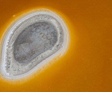 Aerial view of an island-like formation in a body of water with a prominent orange hue surrounding a central gray area, bordered by a white shoreline. Aerial view of an island-like formation in orange water with a gray center and white shoreline.